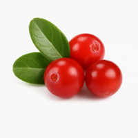 Ingredient icon